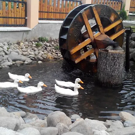 Pensiunea Marioara Penzion